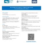 Evento Accademico: Stati privi di litorale e diritto del mare – Il caso della Repubblica di San Marino