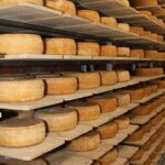 FOODVALUE: Innovation and Research to Enhance Montenegro’s Traditional Fermented Foods
